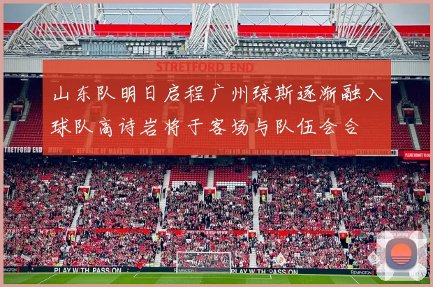 山东队明日启程广州琼斯逐渐融入球队高诗岩将于客场与队伍会合